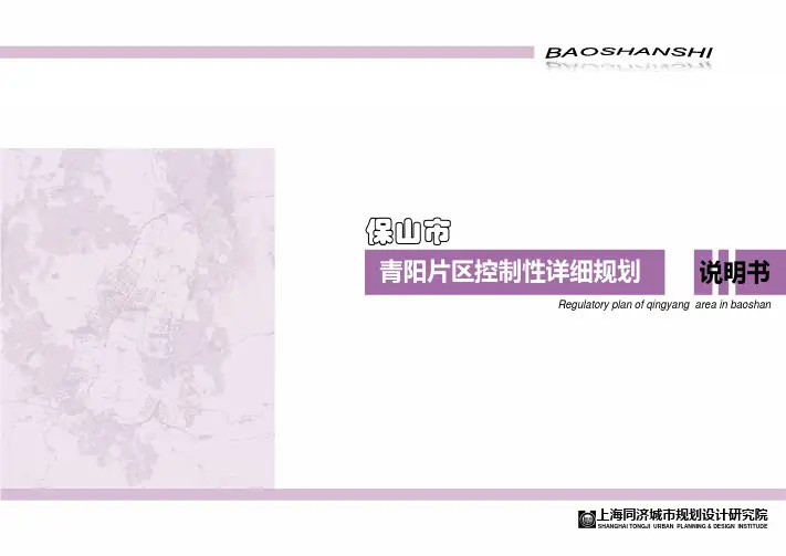 青片控制性详细规划说明书