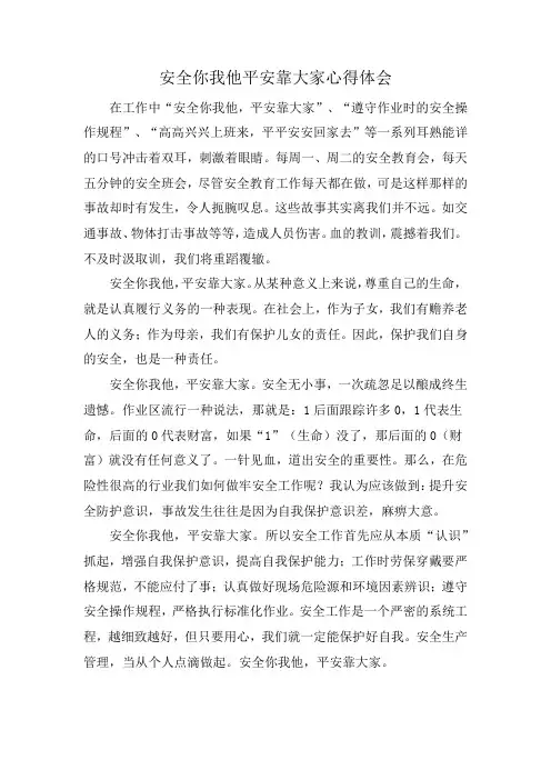安全你我他平安靠大家心得体会