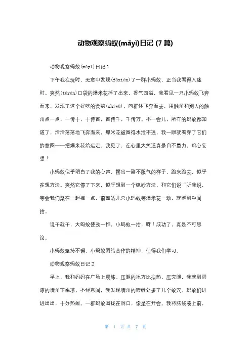 动物观察蚂蚁日记 (7篇)