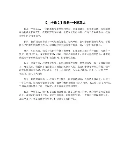 【中考作文】我是一个稻草人