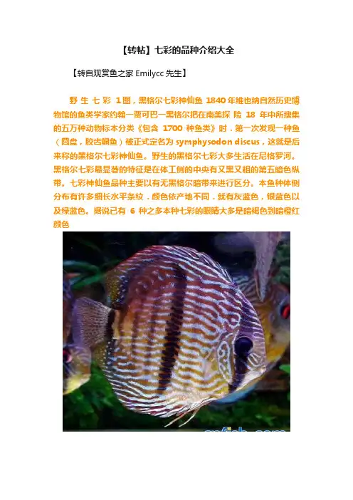 【转帖】七彩的品种介绍大全