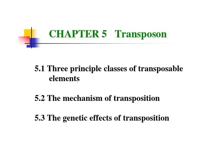 分子生物学英文版Chapter5