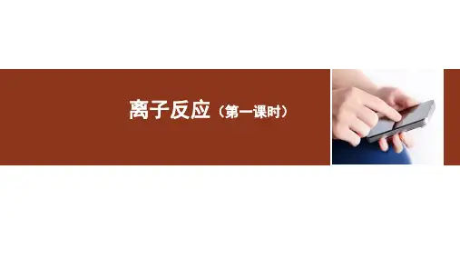 《离子反应(第一课时)》名师课件