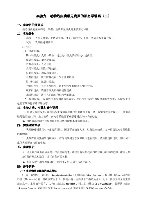 试验九动物线虫病常见病原的形态学观察