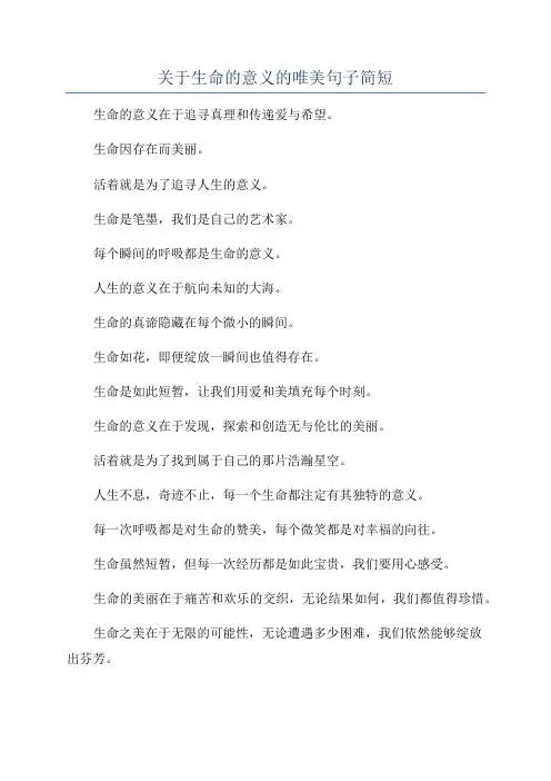 关于生命的意义的唯美句子简短