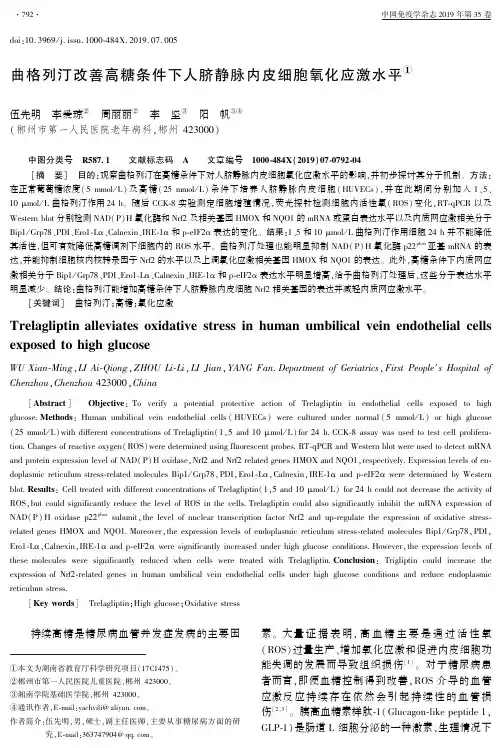 曲格列汀改善高糖条件下人脐静脉内皮细胞氧化应激水平