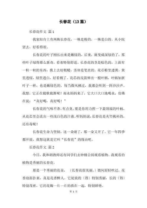 长春花(13篇)