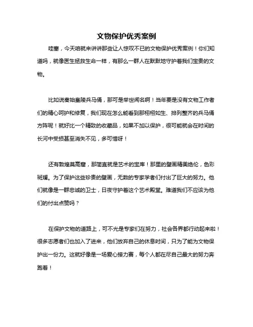 文物保护优秀案例