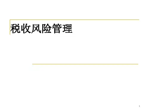 税收风险管理PPT课件