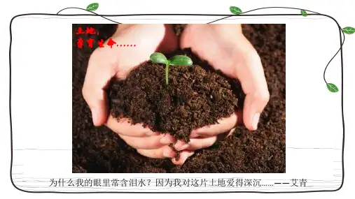 人教版新教材必修一土壤的形成-PPT(演示)全