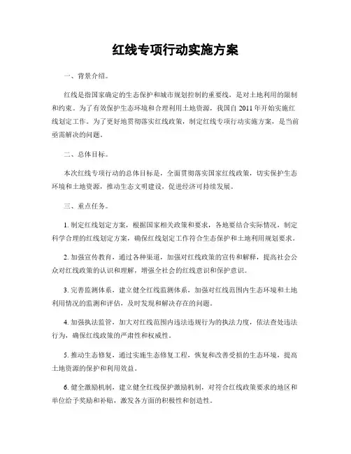 红线专项行动实施方案