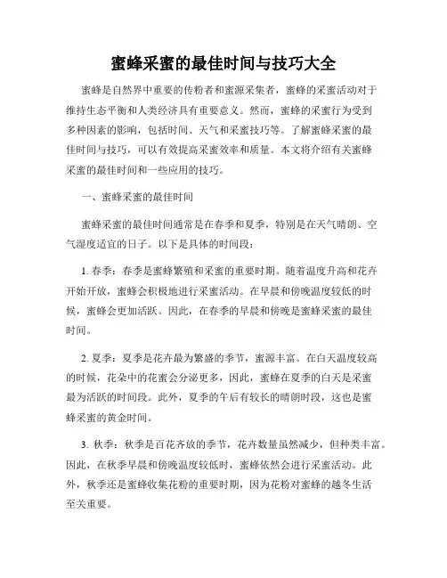 蜜蜂采蜜的最佳时间与技巧大全
