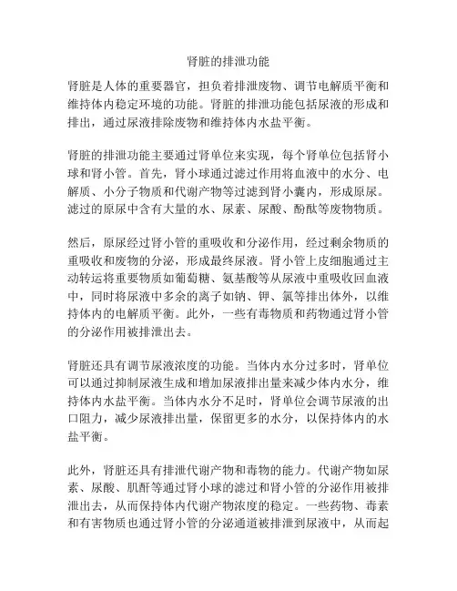 肾脏的排泄功能