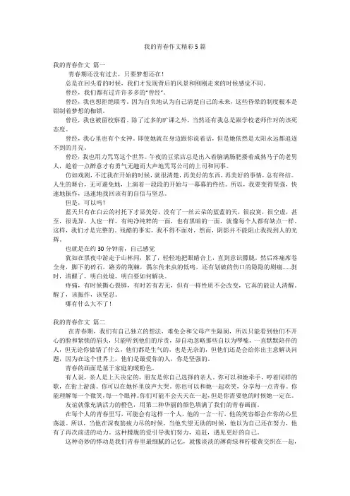 我的青春作文精彩5篇