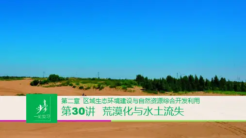 高中地理一轮复习荒漠化与水土流失