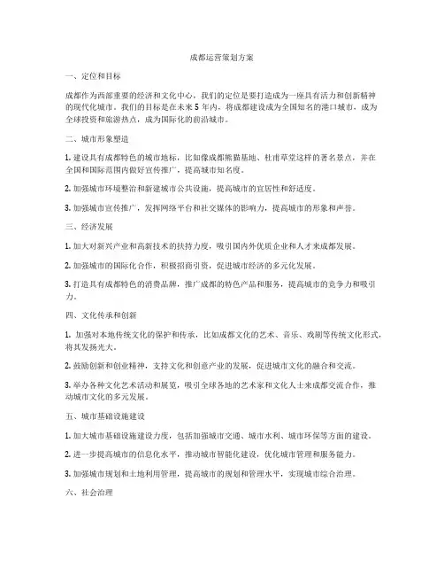 成都运营策划方案