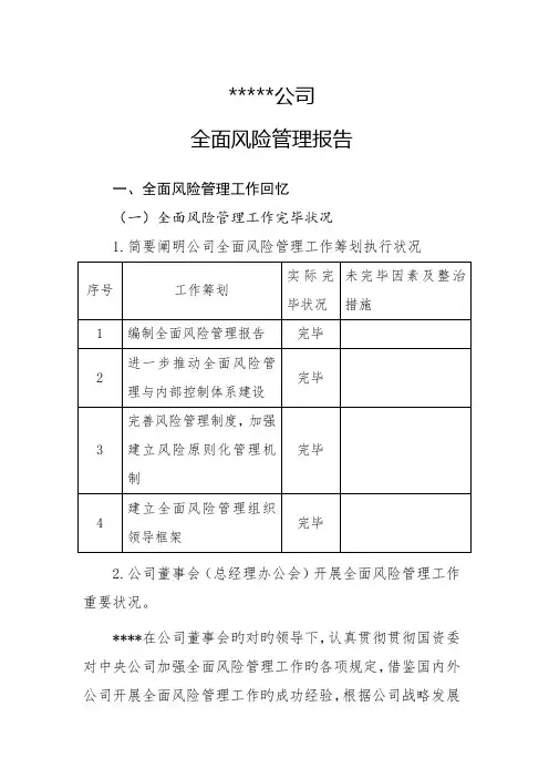公司全面风险管理分析报告
