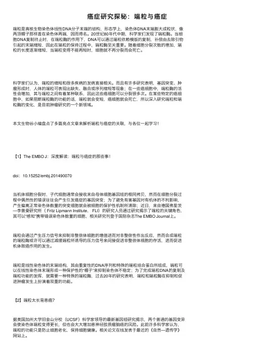 癌症研究探秘：端粒与癌症