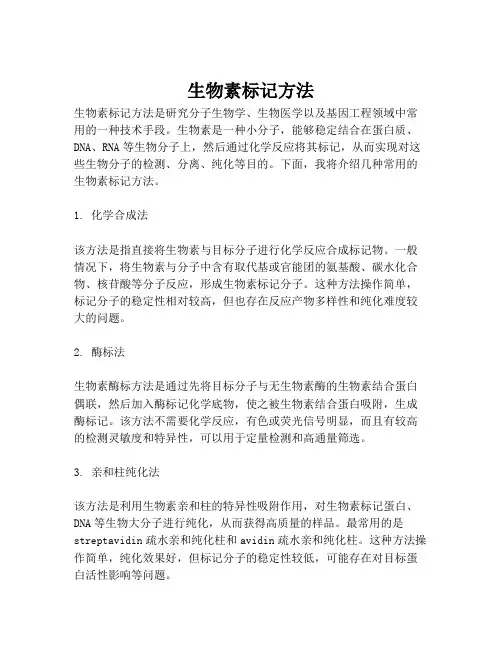 生物素标记方法
