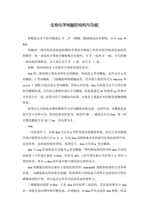 生物化学核酸的结构与功能