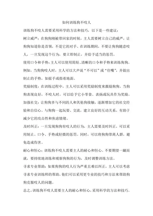 如何训练狗不咬人