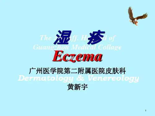 湿疹EczemaPPT课件