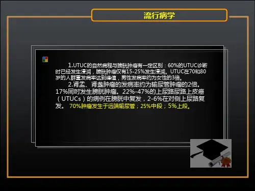 EAU上尿路尿路上皮肿瘤诊治指南ppt课件PPT30页