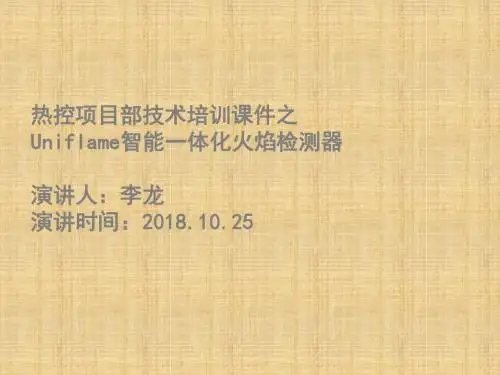 UniFlame火检培训