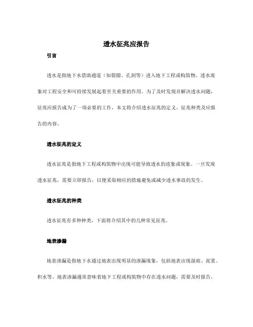 透水征兆应报告