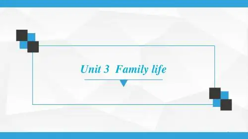 牛津深圳版九年级上册  Unit 3  Family life