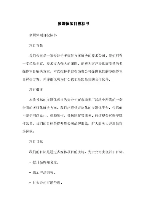多媒体项目投标书简版