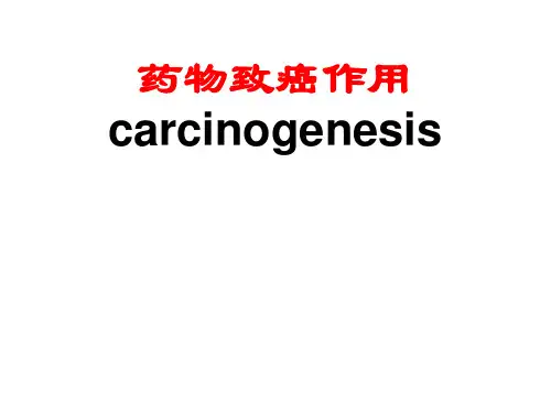 药物致癌作用