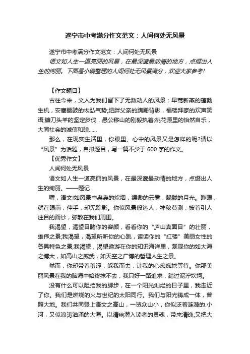 遂宁市中考满分作文范文：人间何处无风景