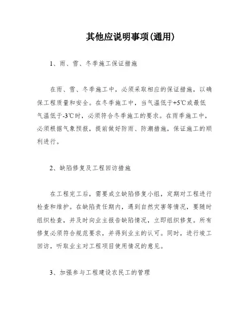 其他应说明事项(通用)