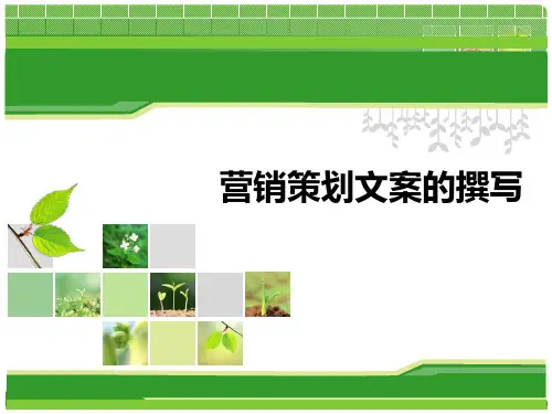 营销策划文案的撰写.pptx