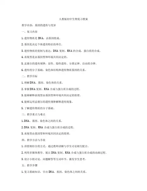 人教版初中生物复习教案