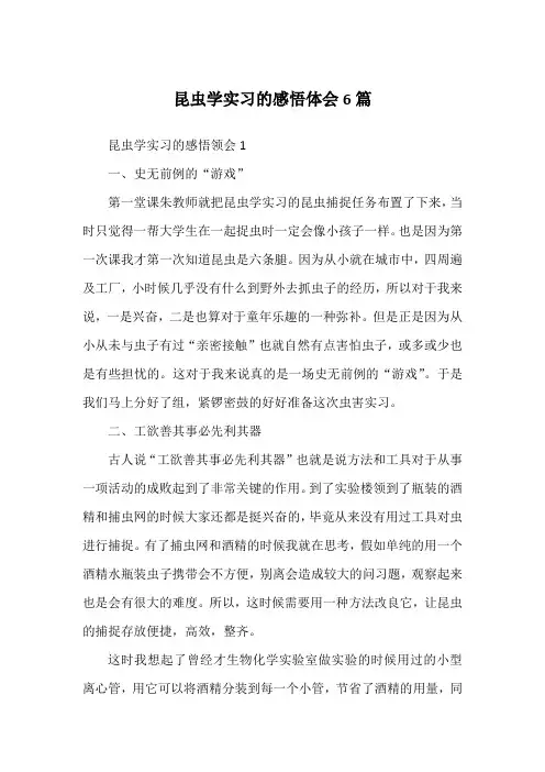 昆虫学实习的感悟体会6篇