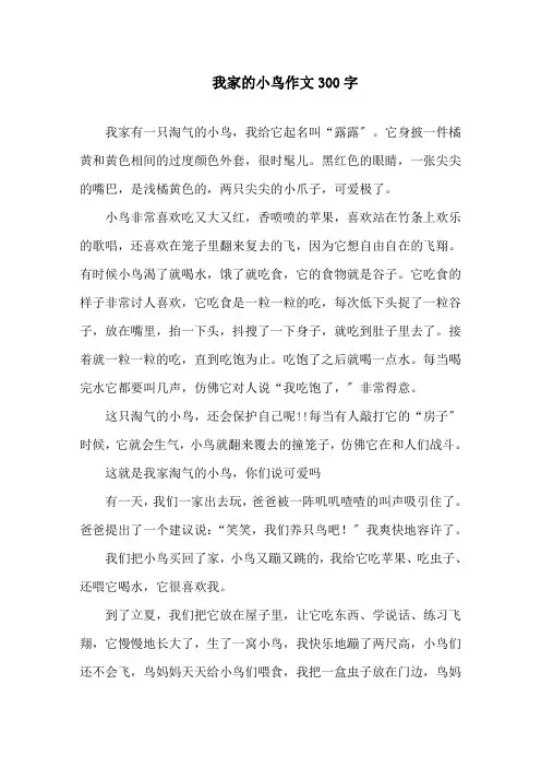 我家的小鸟作文300字精选