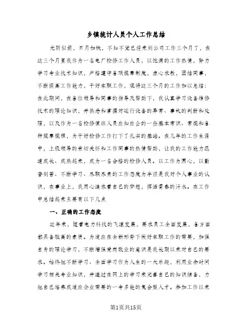 2024年乡镇统计人员个人工作总结（5篇）