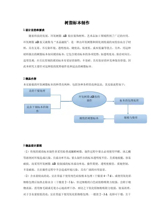 树脂标本——精选推荐