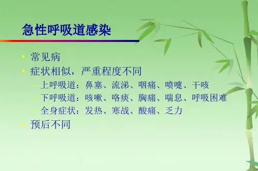流行性感冒课件PPT(共51张PPT)
