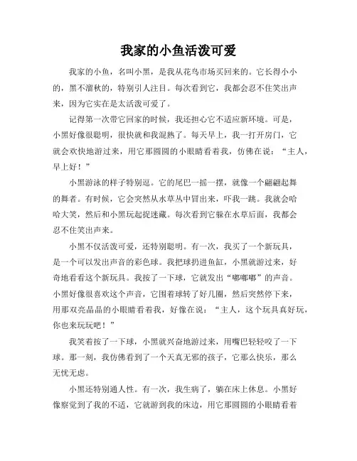 我家的小鱼活泼可爱