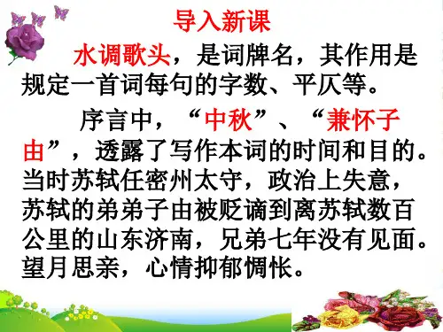 苏轼《水调歌头》ppt课件(27页)