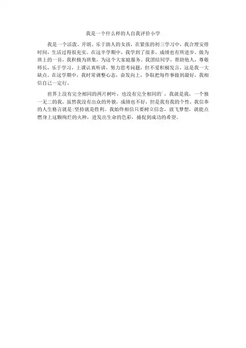 我是一个什么样的人自我评价小学
