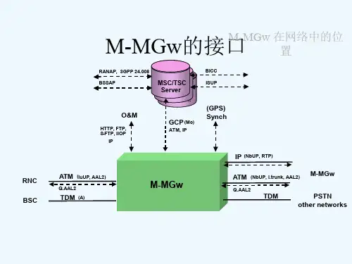 爱立信M-MGw的接口与系统架构