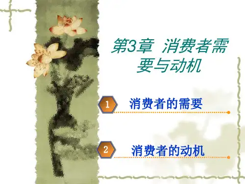 第3章消费者需要与动机(消费者行为学)