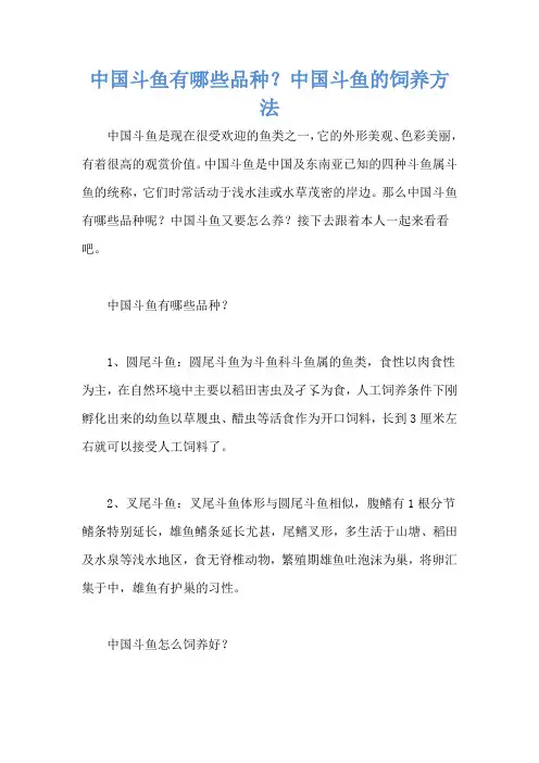 中国斗鱼有哪些品种？中国斗鱼的饲养方法