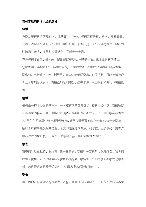 农村常见的树木大全及名称
