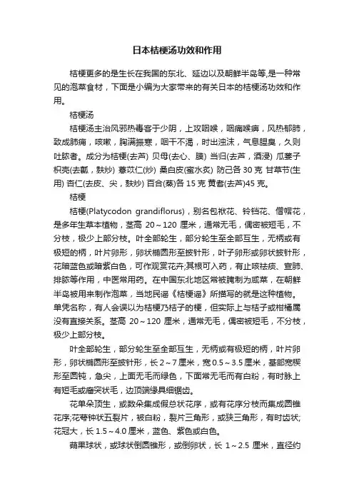 日本桔梗汤功效和作用