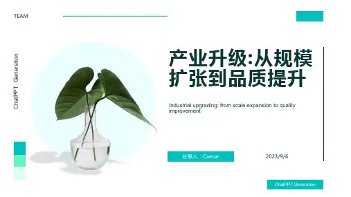 2023年中国鞋业产业升级必须实现的四个转变模板